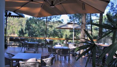 Explore the Best Food Court in Kasauli: Top Picks & Reviews