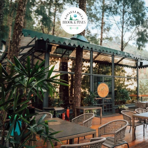 Brook & Pines in Kasauli