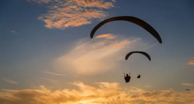 Paragliding in Kasauli