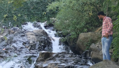 Unwind in Nature: The Serene Beauty of Brook & Pines Restaurants